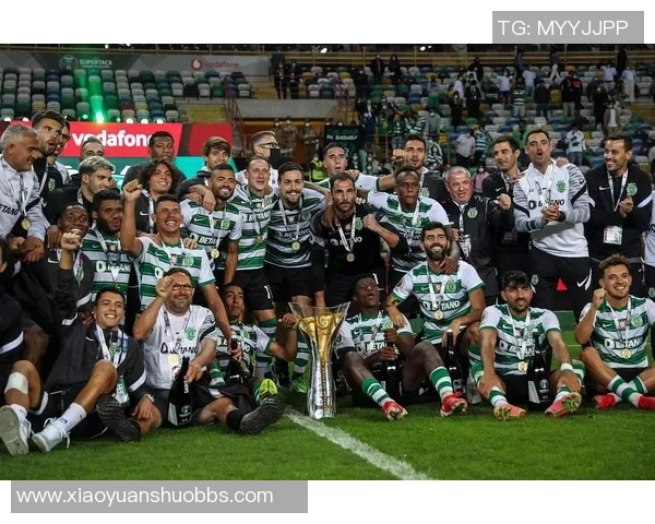 成都排球队以92分领跑杯赛积分榜展现强劲实力与团队合作精神