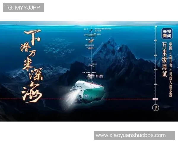 成都羽毛球队逆袭欧锦赛的传奇之路与奋斗精神的完美展现